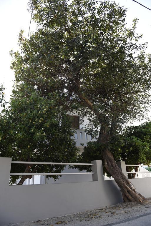 Dimitris' & Valentina'S Home Plakias Zewnętrze zdjęcie