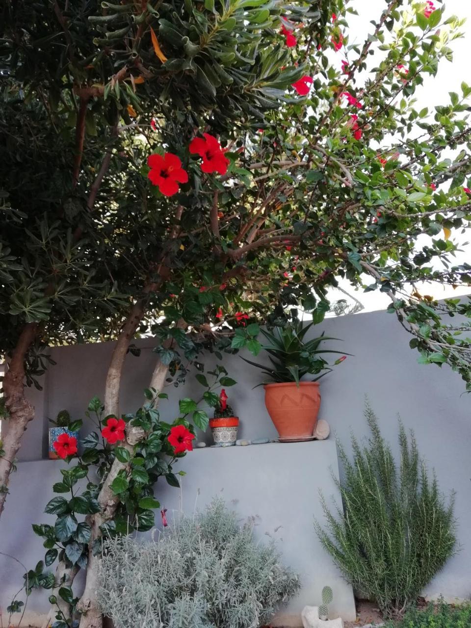Dimitris' & Valentina'S Home Plakias Zewnętrze zdjęcie